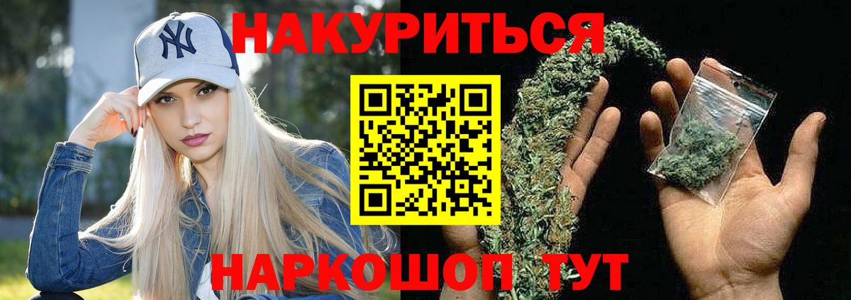 Канабис сатива Будённовск